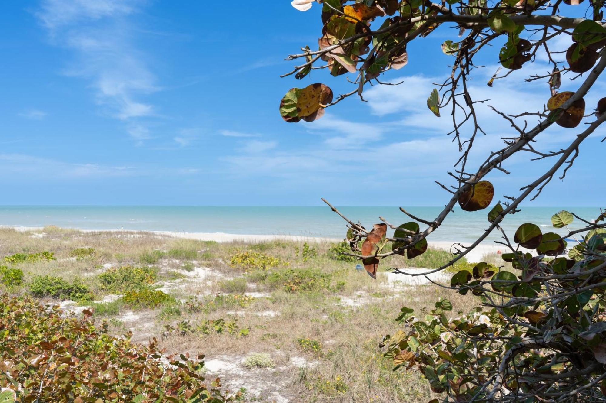 Sole Suite #1-2 Min To Beach-Patio & Courtyard Cocoa Beach Bagian luar foto